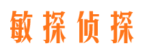 措勤市私家侦探